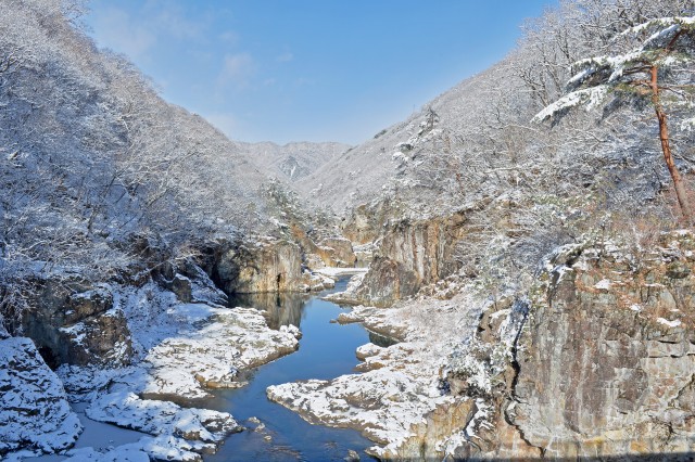 鬼怒川エリアの冬旅！龍王峡からいちご狩り、SL大樹まで